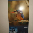 Отдается в дар Настенный календарь «Птицы мира» 2012 год