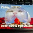 Отдается в дар Календари с кошками