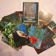 Отдается в дар Набор открыток «Пёстрый мир аквариума»