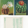 Отдается в дар Советские открытки с кактусами