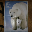 Отдается в дар карта, плакат белого мишки, календарь на 2009 год формата А4