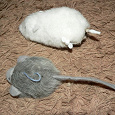 Отдается в дар мышки для кошек