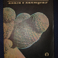 Отдается в дар Книга о кактусах — 1972