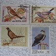Отдается в дар почтовые марки-птицы