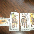 Отдается в дар марки с динозаврами