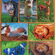 Отдается в дар Календарики с животными на 2012 год (см. обновление)