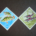 Отдается в дар марки с рыбами
