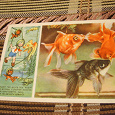 Отдается в дар Почтовая открытка СССР