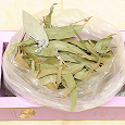 Отдается в дар Сушёные листья эвкалипта Eucalyptus