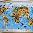 Отдается в дар 3и карты мира для детей «Животный и растительный мир земли»