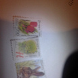 Отдается в дар марки Белорусии