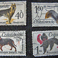 Отдается в дар Комплект марок «Собачки». Чехословакия