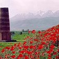 Отдается в дар Боны Киргизии