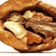 Отдается в дар перегородоки из грецкого ореха — для приготовления лекарства