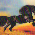Отдается в дар Стерео-открытка с лошадью