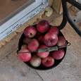 Отдается в дар Пара килограмм яблок