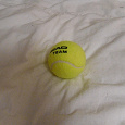 Отдается в дар мячик для тенниса
