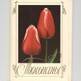 Отдается в дар Набор открыток «Тюльпаны» 1986 год