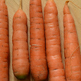 Отдается в дар Морковь-Любовь