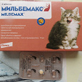 Отдается в дар Мильбемакс для котят