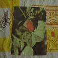 Отдается в дар карманный календарик 1991г, земляничка, Бабаларов