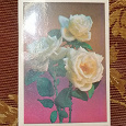 Отдается в дар Советская открытка с цветами