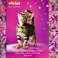 Отдается в дар Открытка рекламная «FlyCards» с котиком.