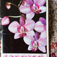 Отдается в дар Набор открыток «Орхидеи» в коллекцию