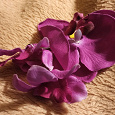 Отдается в дар Серьги и заколка-брошь Орхидеи новые