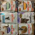 Отдается в дар Паучи Royal Canin и лакомства для котика