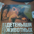 Отдается в дар Книга «Детеныши животных»