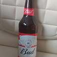 Отдается в дар Пиво Bud