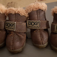 Отдается в дар Зимняя обувь для мелкой собаки