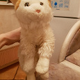 Отдается в дар Кошак мягкий