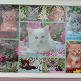 Отдается в дар Декоративная картина с котятами 3d