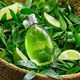 Отдается в дар Avon Scent Mix Fizzy Green Tea