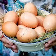 Отдается в дар Яйцо домашнее вкусное