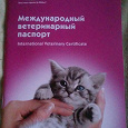 Отдается в дар Международный ветеринарный паспорт для кошек
