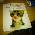 Отдается в дар Книга «самые очаровательные кошки»