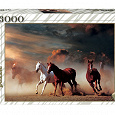 Отдается в дар Пазлы (лошади, природа) от 1000 до 3000 кусочков