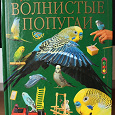 Отдается в дар Книга о волнистых попугаях