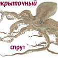 Отдается в дар Открыточный кот +Открыточный спрут в мешке :3.