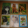 Отдается в дар Календарики с животными 1987-1992 в коллекцию