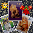 Отдается в дар Кошки на календариках _ 2015