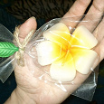 Отдается в дар свеча-цветок из тайланда