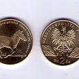 Отдается в дар Монета Польский коник