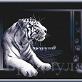 Отдается в дар Начатая вышивка «Белый тигр»