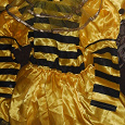 Отдается в дар Новогодний костюм пчелы