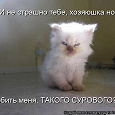 Отдается в дар Кот в мешке(рукодельный)