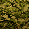 Отдается в дар Сушеные листья для чая